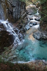 IMG_0083