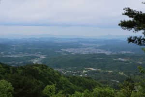 IMG_1663
