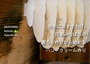 日本みつばちのハンドクリーム作り